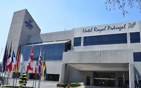 Royal Pedregal