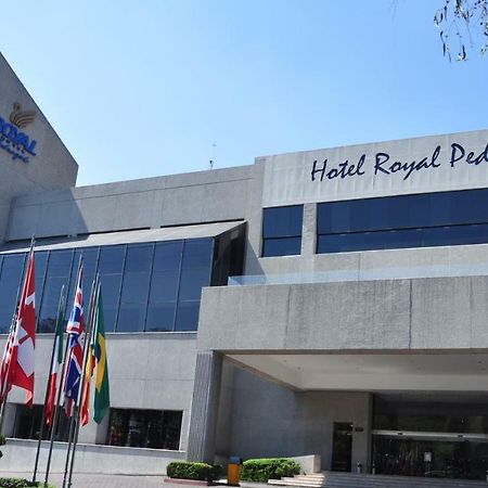 Hotel Royal Pedregal Città del Messico Esterno foto